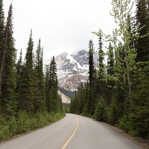 Meet your Posher, Serene